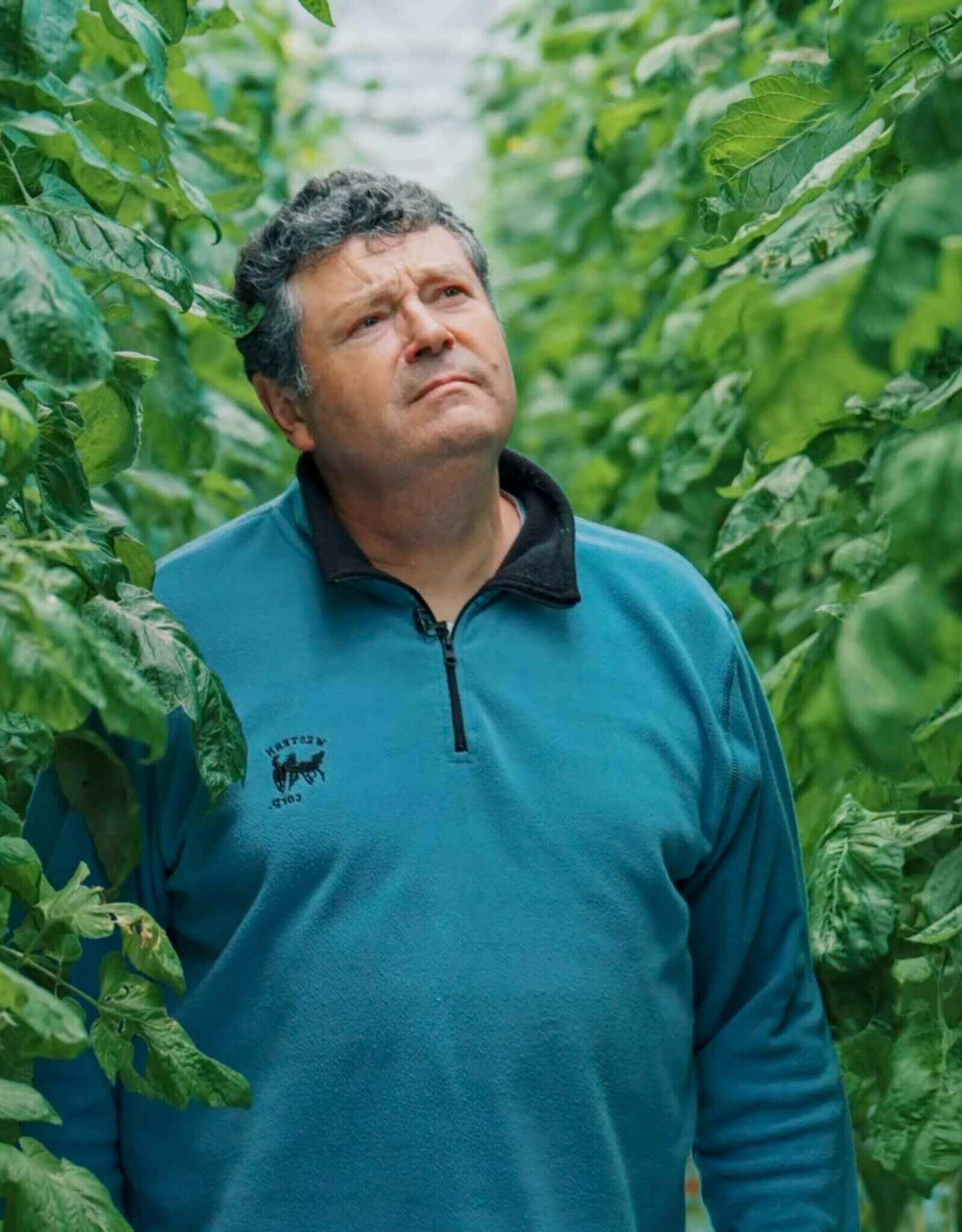 Philippe Martail, producteur de tomates, RED Horticulture.
