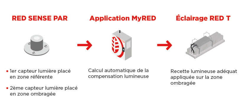 Dispositif RED : capteurs RED Sense, application MyRED et luminaires connectés REDT.