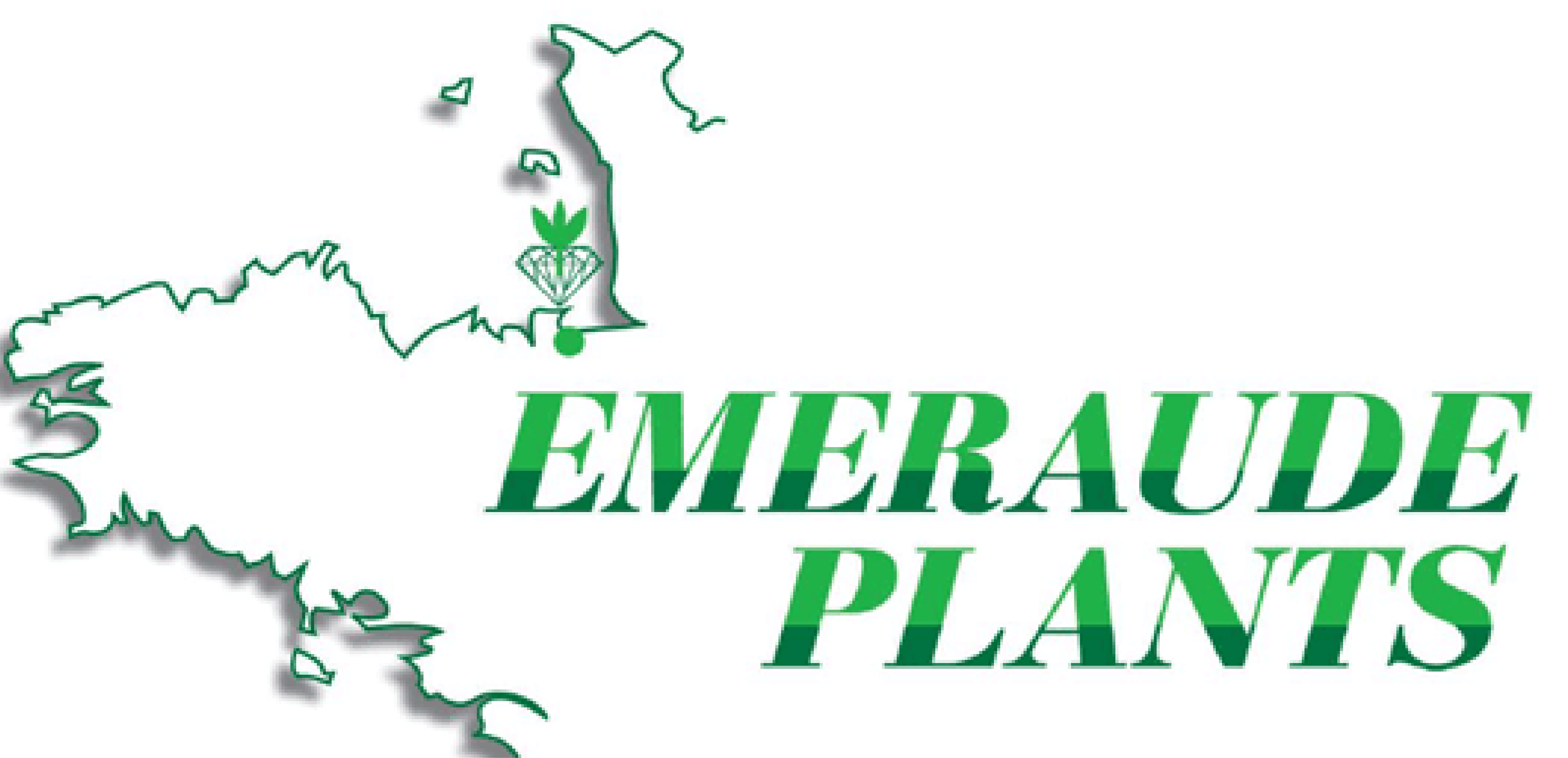 Logo Emeraude Plants
