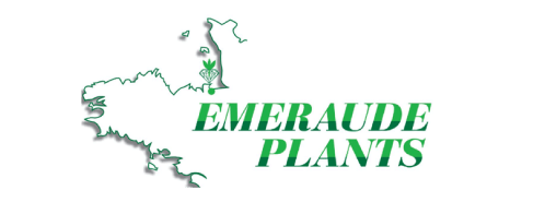 Emeraude Plants, producteur de jeunes plants français