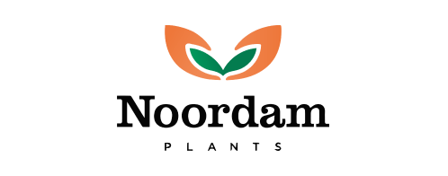 Noordam, producteur de jeunes plants, Hollande.