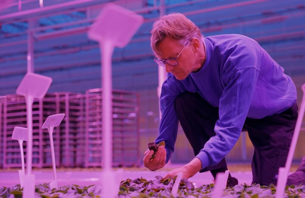 Full-LED lighting solutions - RED Horticulture
