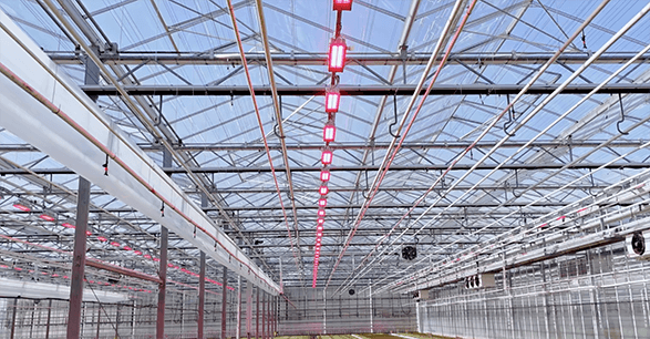 van Egmond LED top lighting