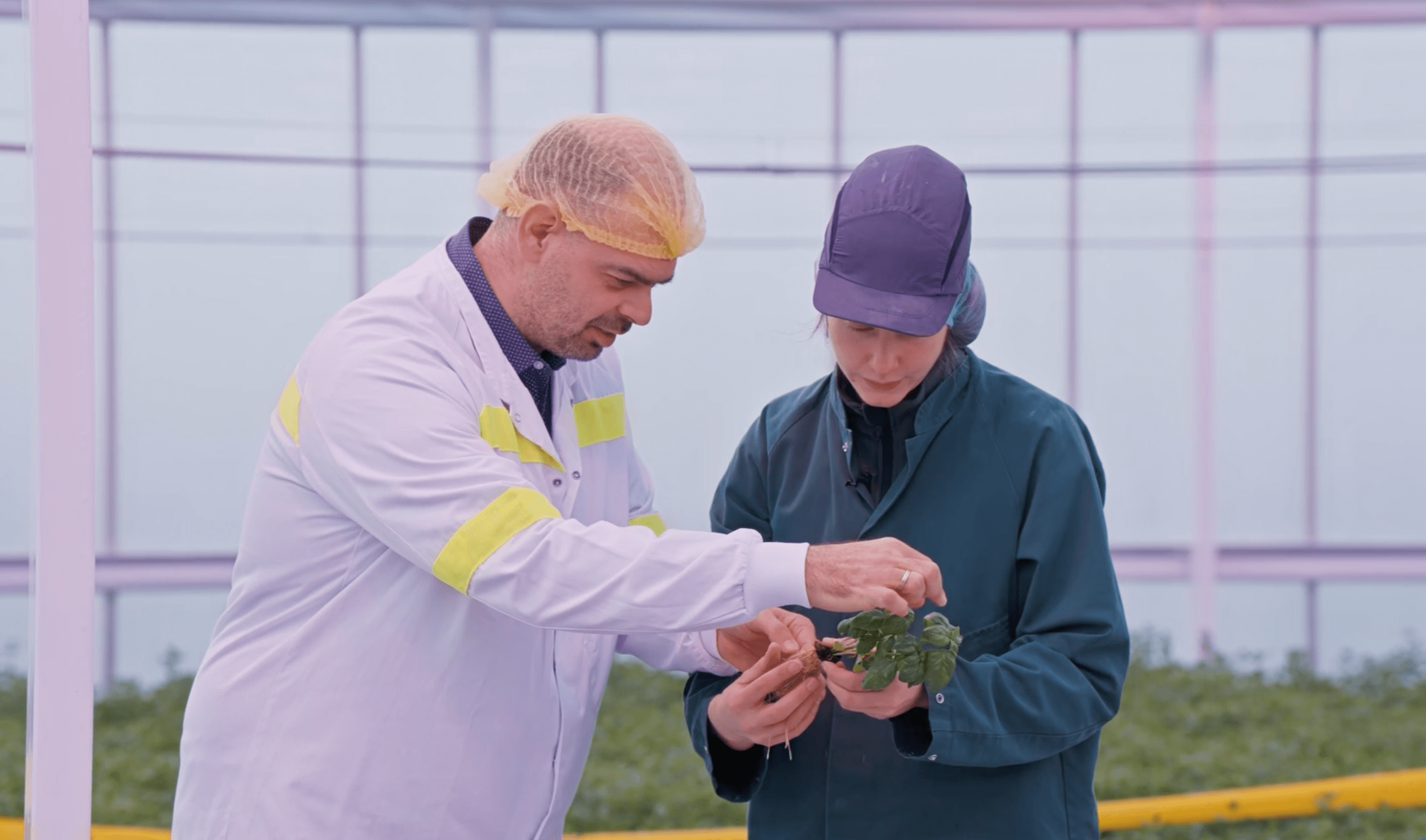 Les Crudettes & RED Horticulture : Les LEDs au coeur de l’innovation